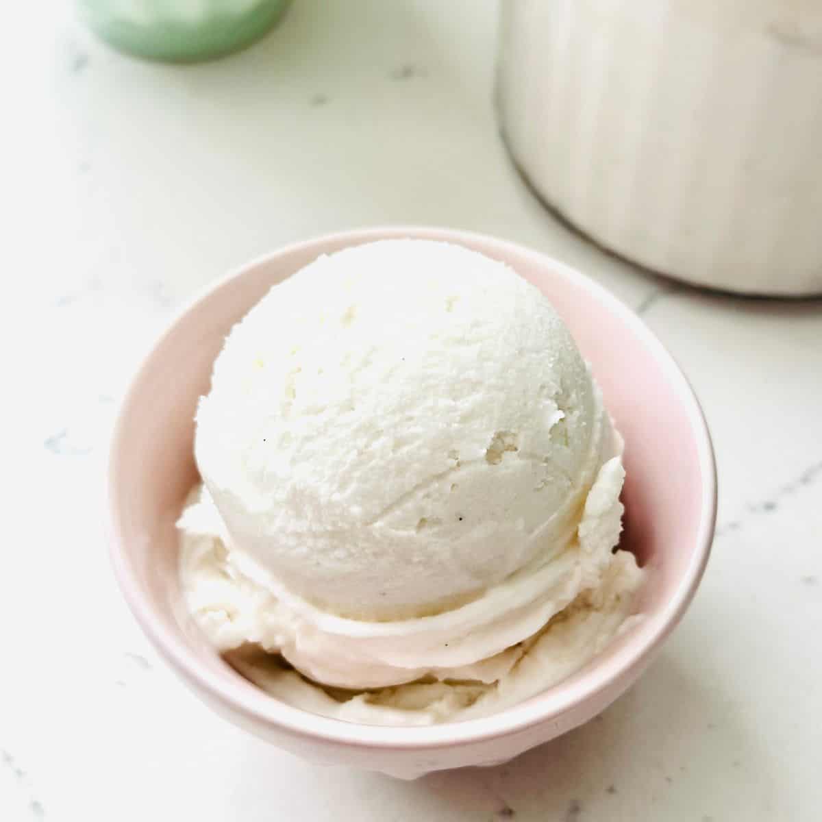 Scoops of dairy-free vanilla ice cream ready to be enjoyed.