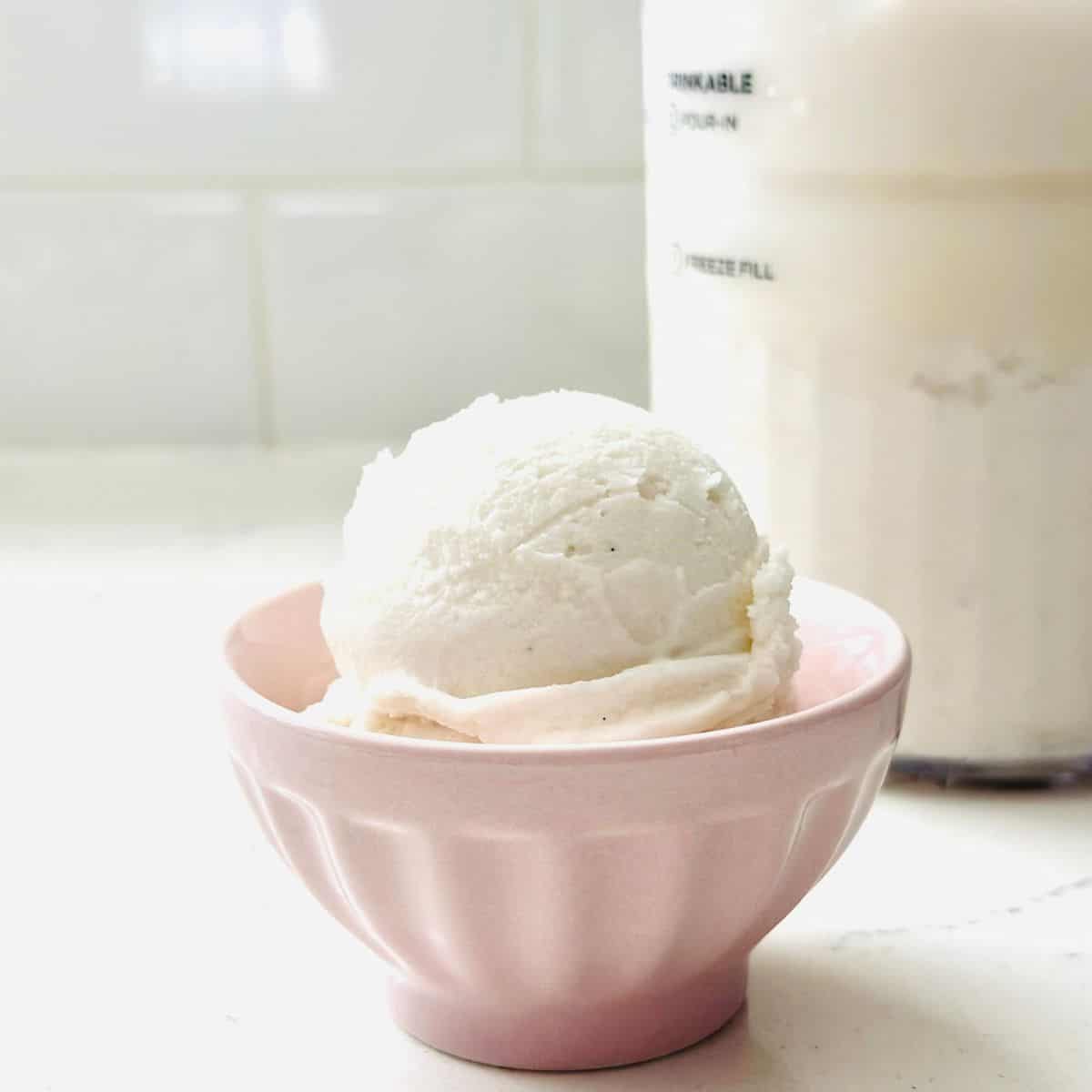 Scoops of dairy-free vanilla ice cream ready to be enjoyed.