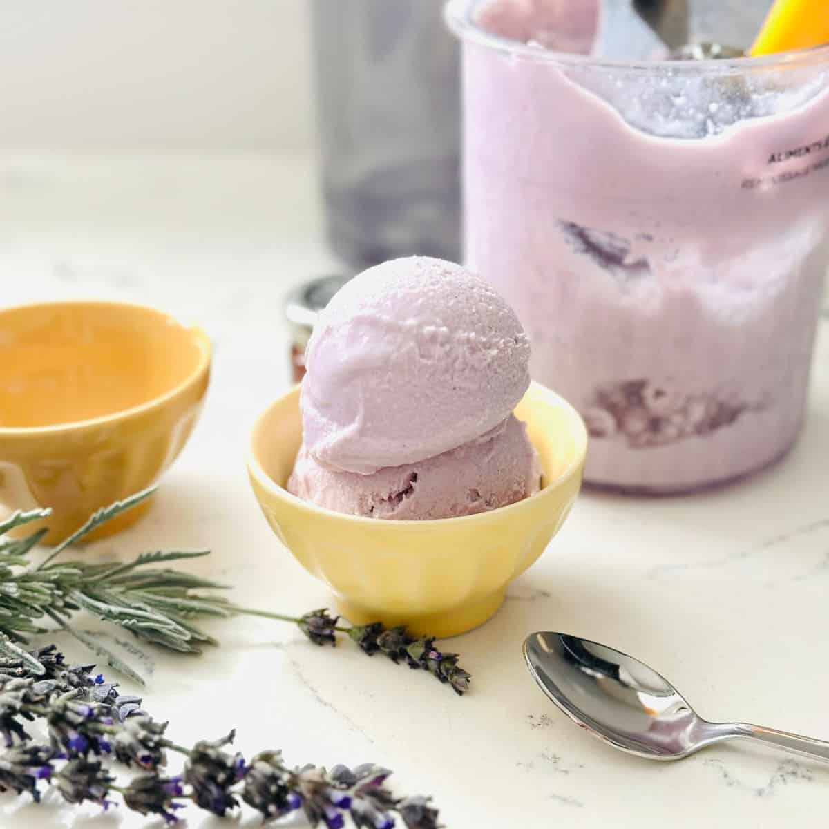 Scoops of lavender honey ice cream made with ninja creami in a bowl ready to be enjoyed.