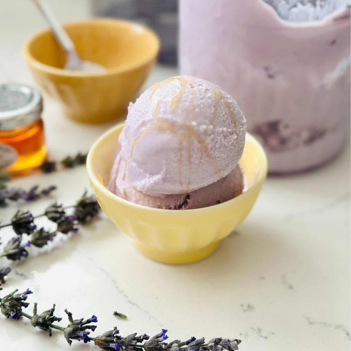 Scoops of lavender honey ice cream made with ninja creami in a bowl ready to be enjoyed.