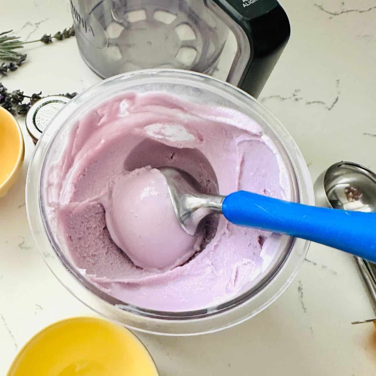 Scoop of lavender honey ice cream showing smooth texture ready to be enjoyed.