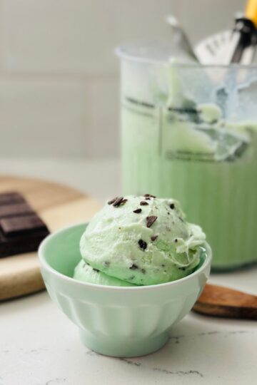 Scoop of chocolate chip Mint Chocolate Chip Ice Cream ready to be enjoyed.