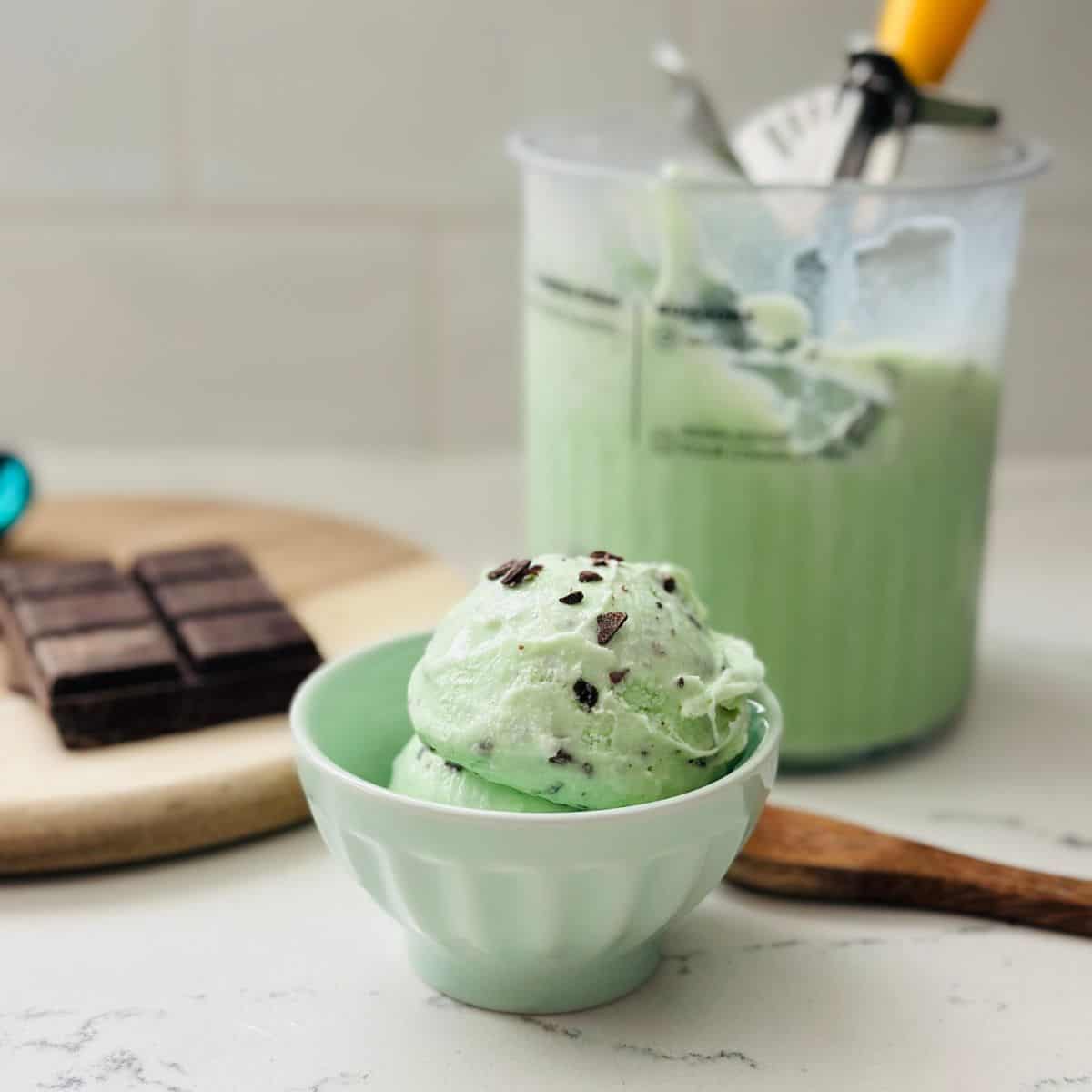 Scoop of chocolate chip Mint Chocolate Chip Ice Cream ready to be enjoyed.