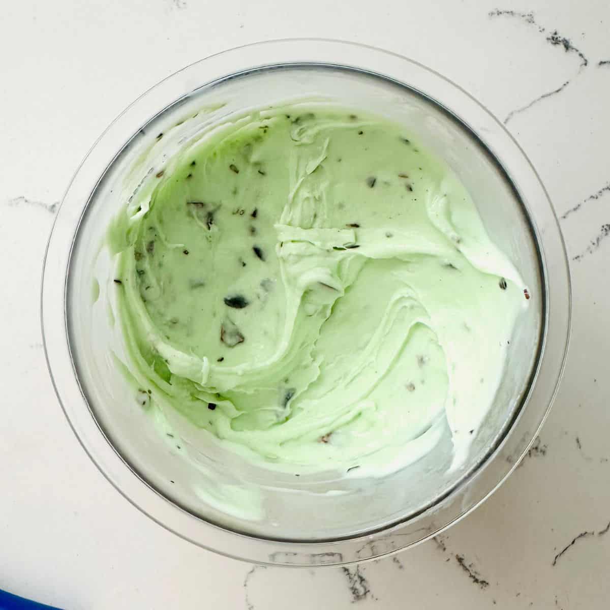 Freshly spun Mint Chocolate Chip Ice Cream ready to be enjoyed.