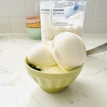 Scoops of plain tart frozen yogurt in a bowl ready for serving.