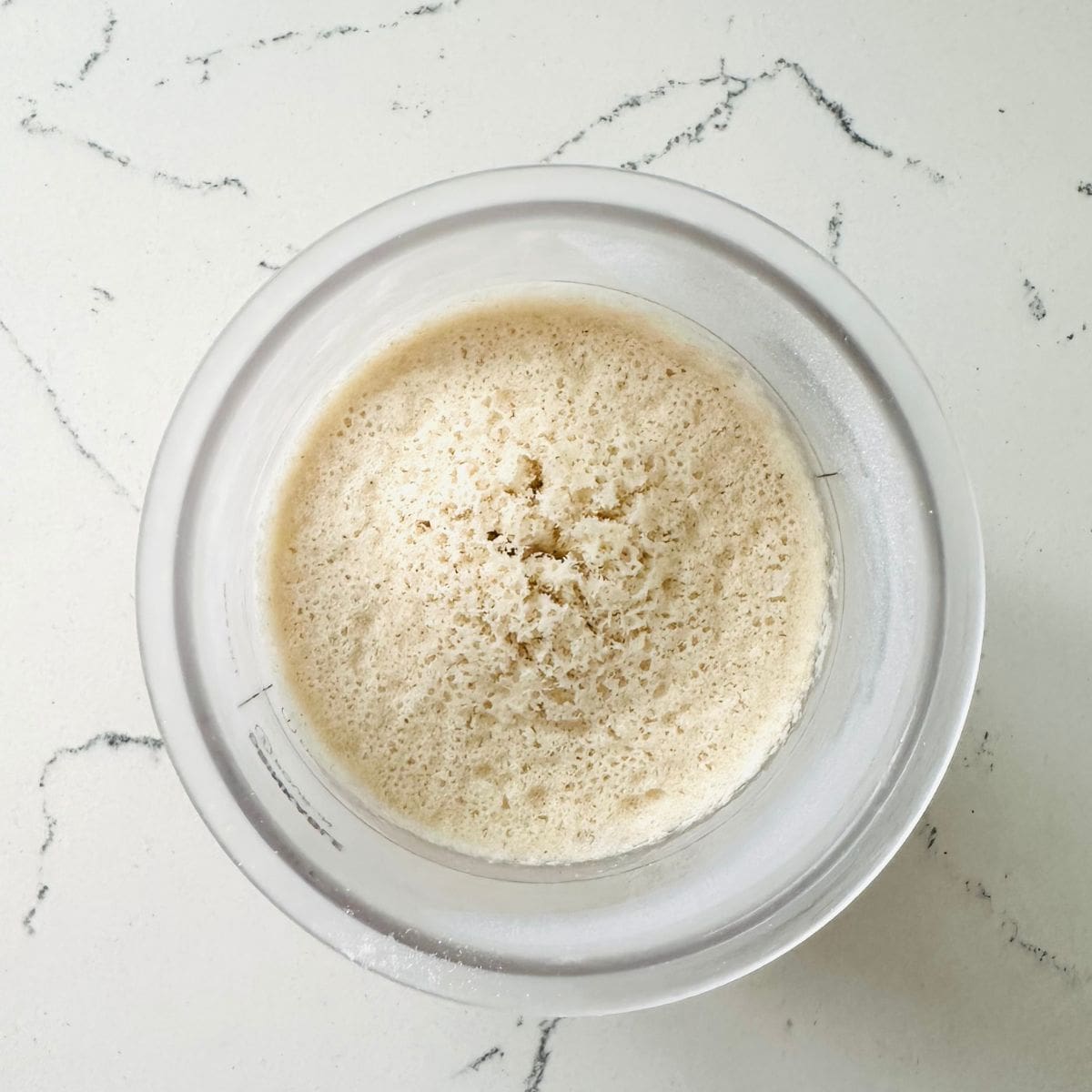 Frozen Ninja Creami Overnight Oats Ice Cream base after chilling 24 hours, ready to spin.