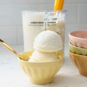 Scoops of Ninja Creami Olive Oil Ice Cream served in a bowl.