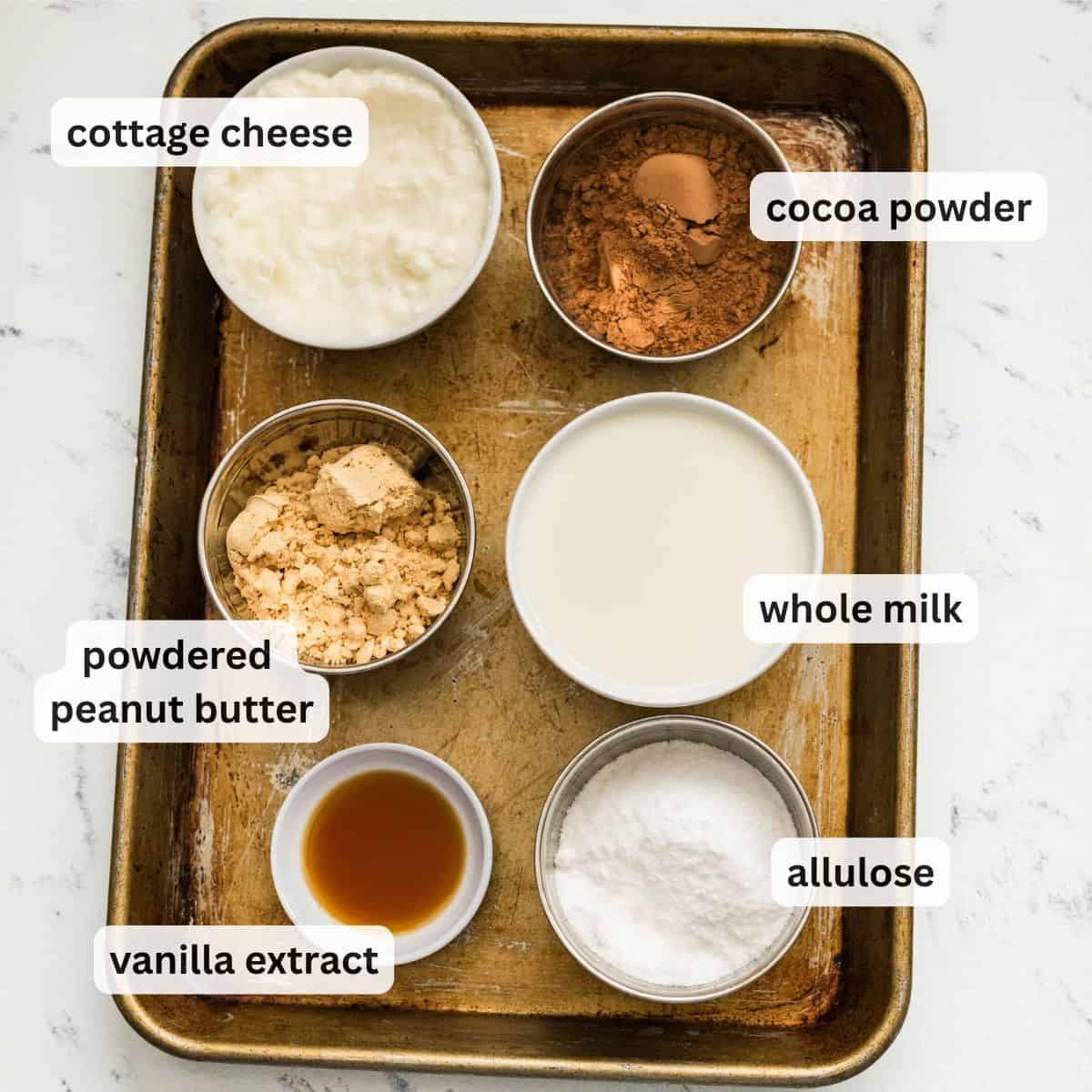 Ingredients for Ninja Creami chocolate peanut butter ice cream on a baking tray: cottage cheese, cocoa powder, powdered peanut butter, whole milk, allulose, and vanilla extract